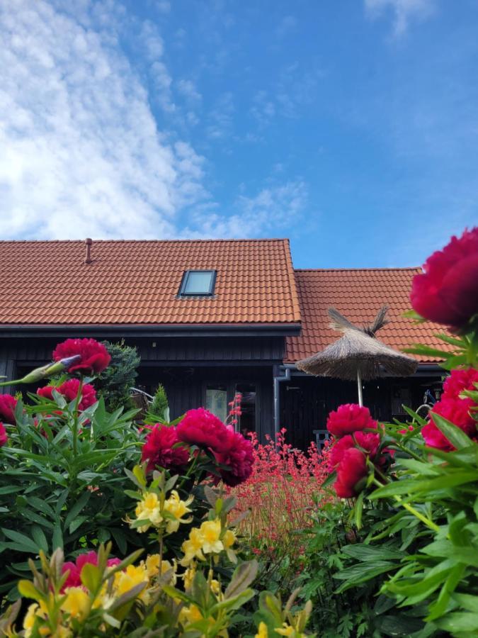 Hotel Viesu Maja Zvilnis Pāvilosta Exterior foto